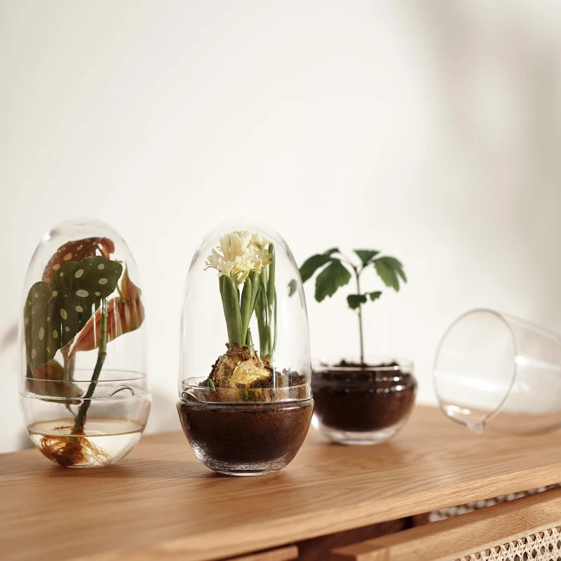Design House Stockholm Grow Mini Greenhouse