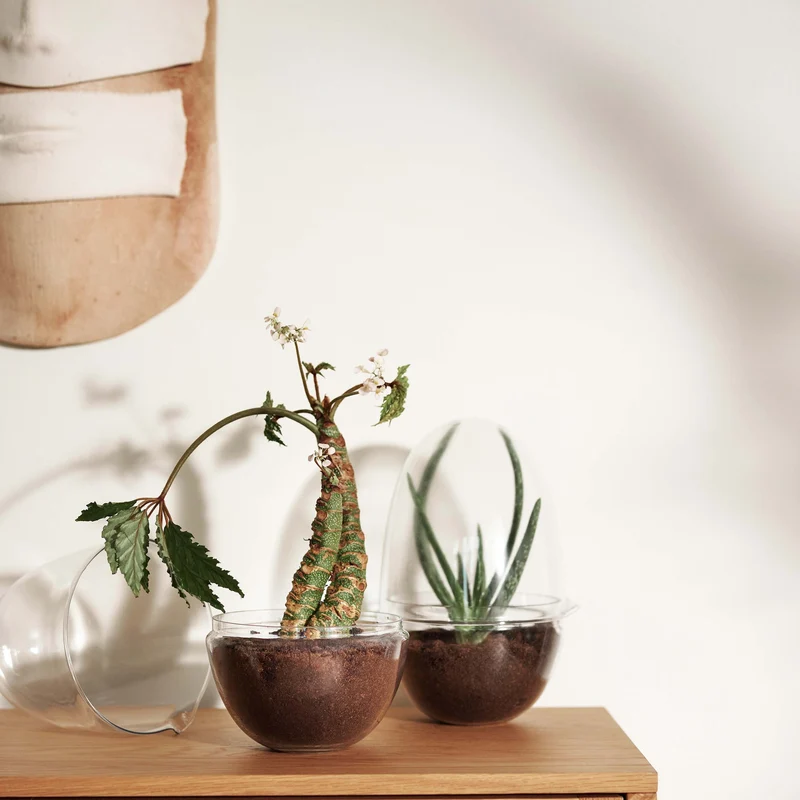 Design House Stockholm Grow Mini Greenhouse