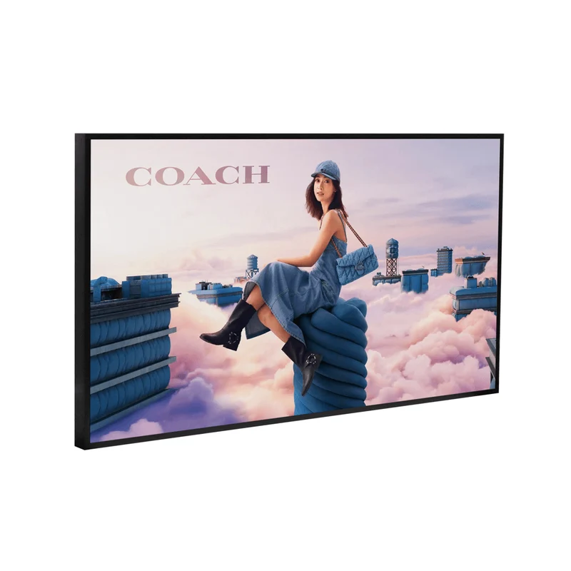 55" High Brightness Display Screen