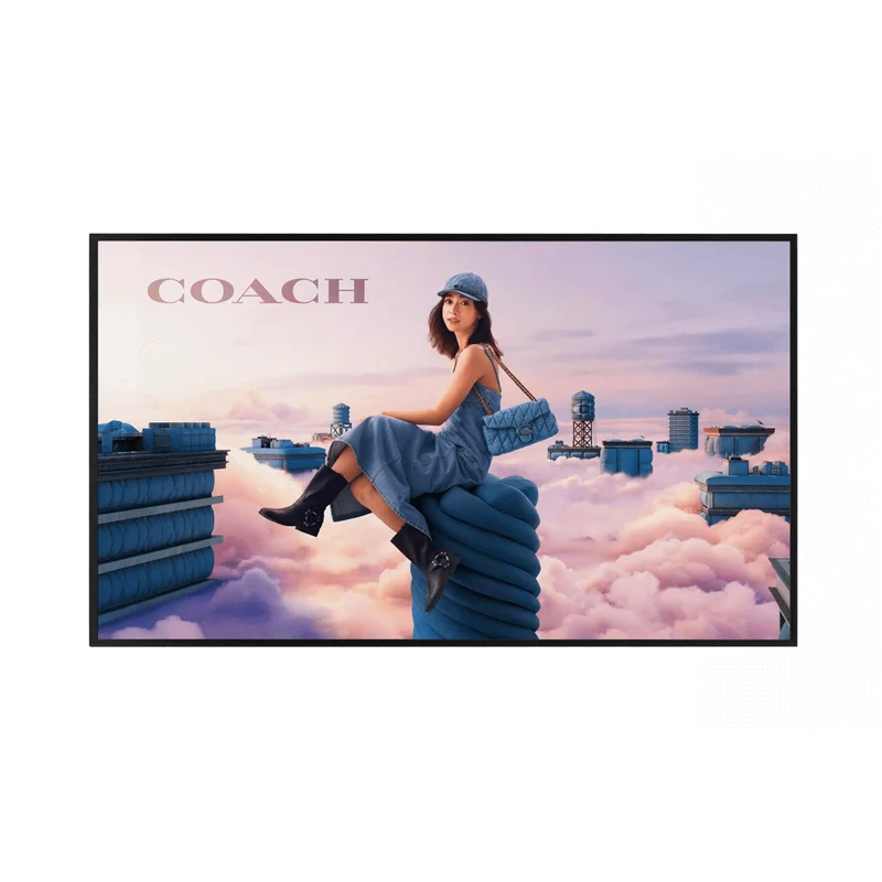 55" High Brightness Display Screen