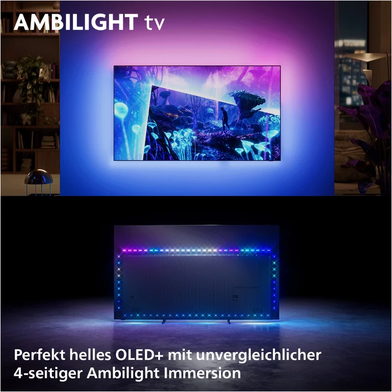 65OLED951/12