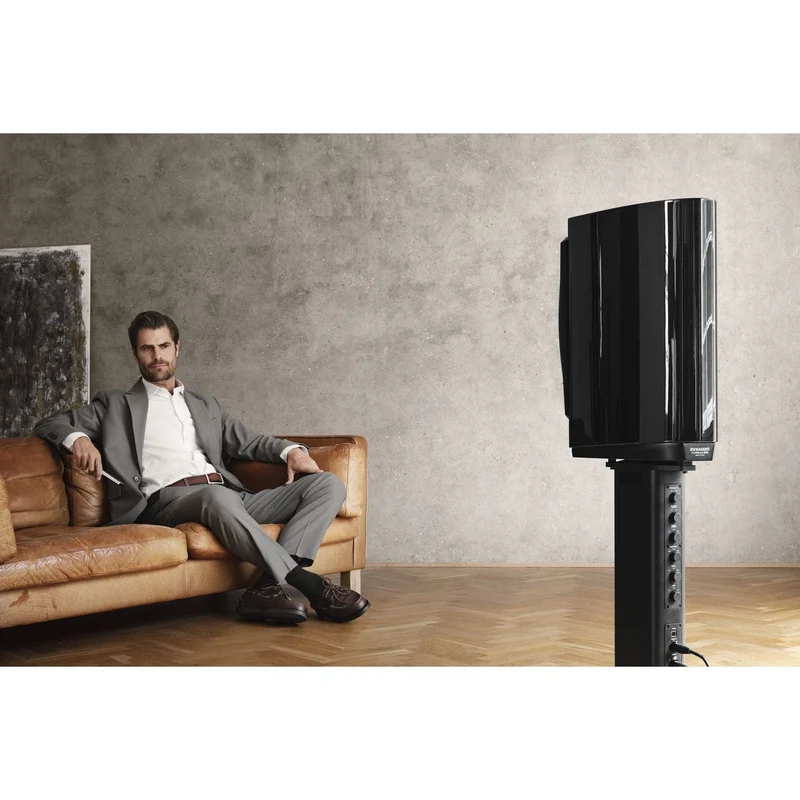 Dynaudio Confidence 20A /Stück