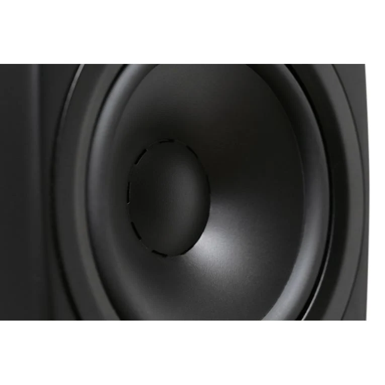 Dynaudio Confidence 20A /Stück