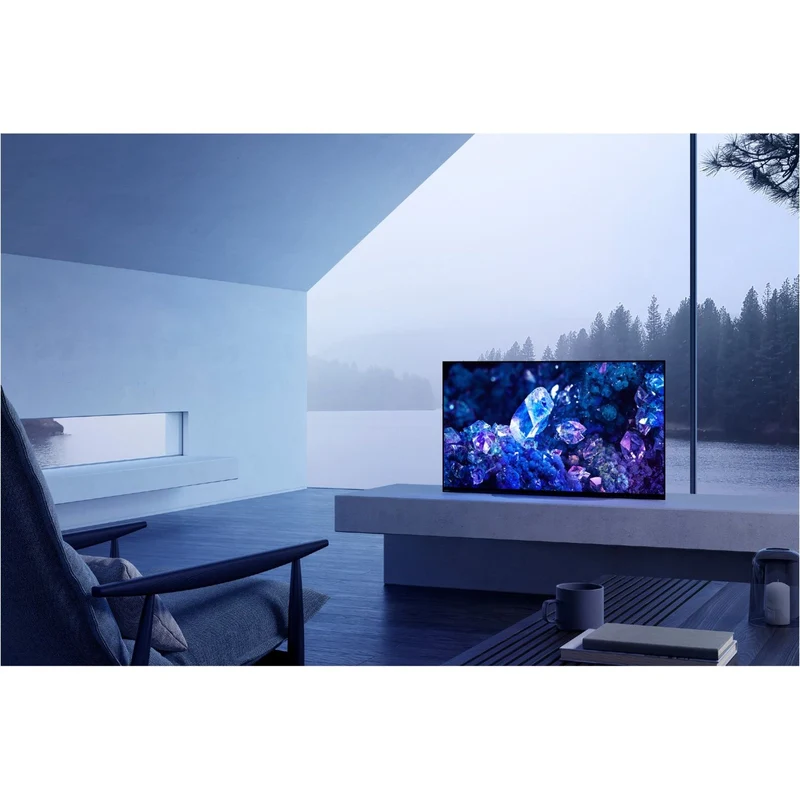Sony XR48A90K - 48* - 121cm