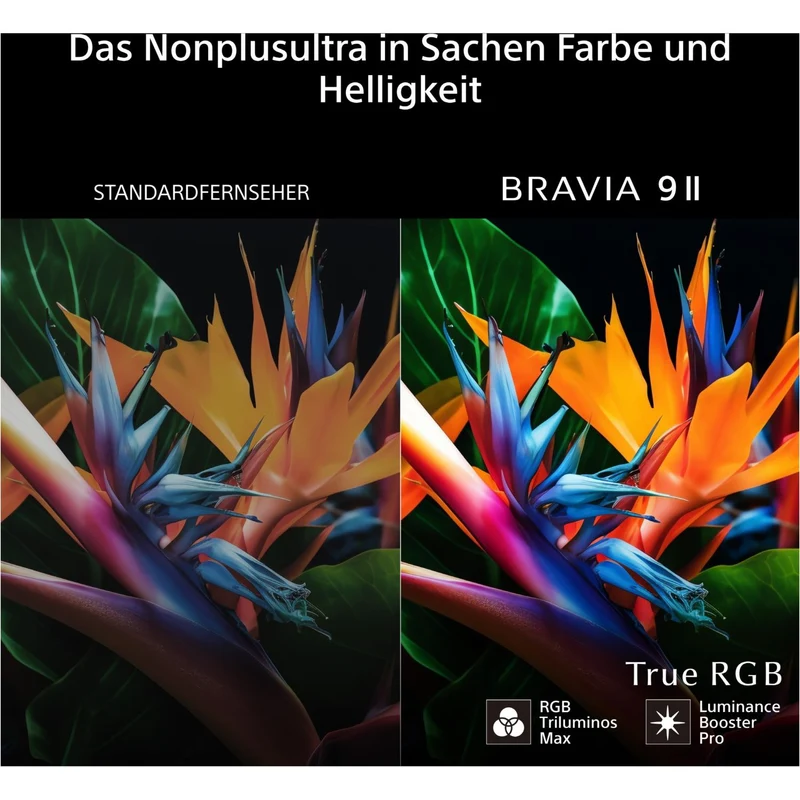 BRAVIA 9 II K-85XR95M2