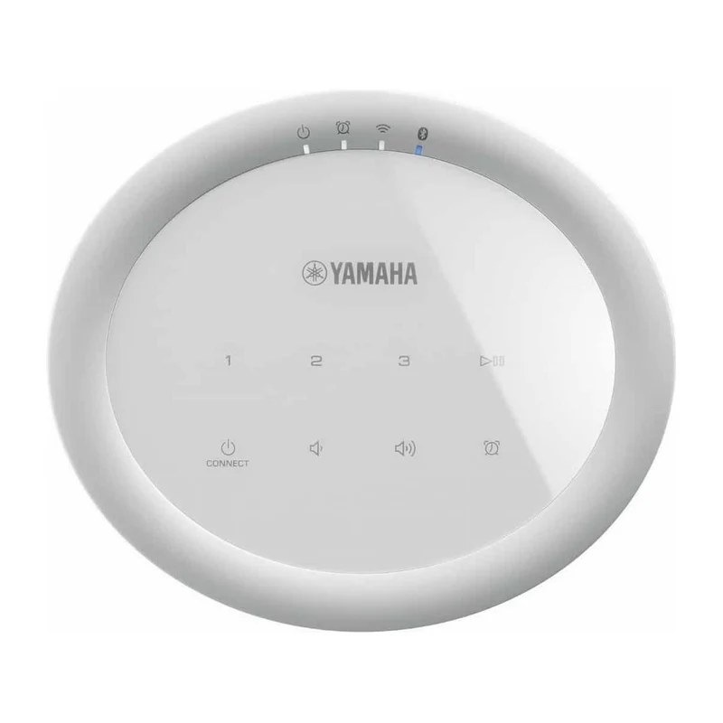 Yamaha MusicCast 20/WX021