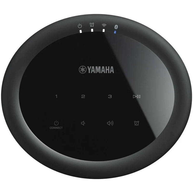 Yamaha MusicCast 20/WX021