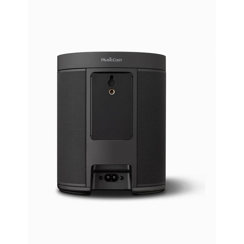 Yamaha MusicCast 20/WX021