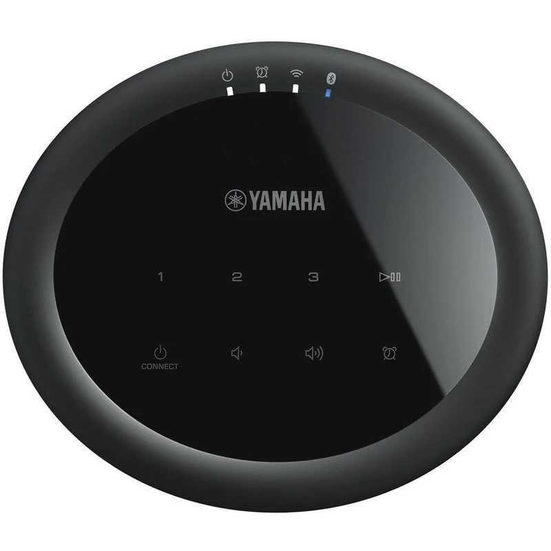 Yamaha MusicCast 20/WX021