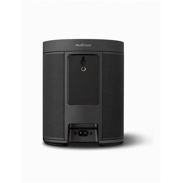 Yamaha MusicCast 20/WX021