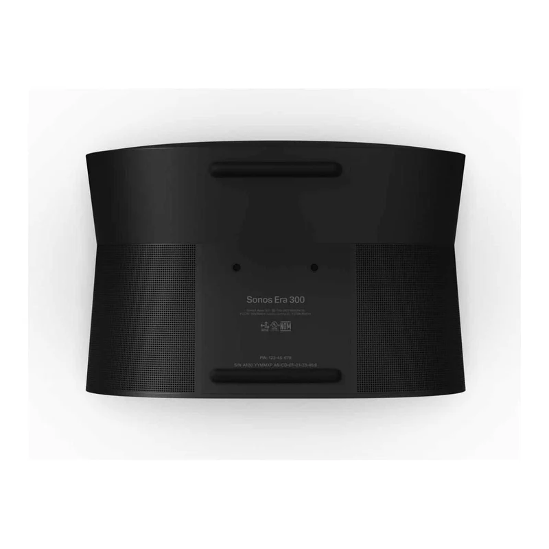 Sonos Era 300
