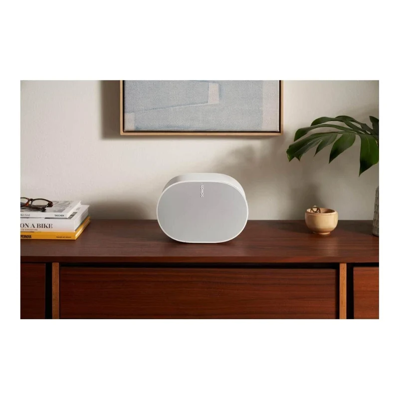 Sonos Era 300