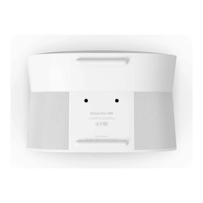 Sonos Era 300