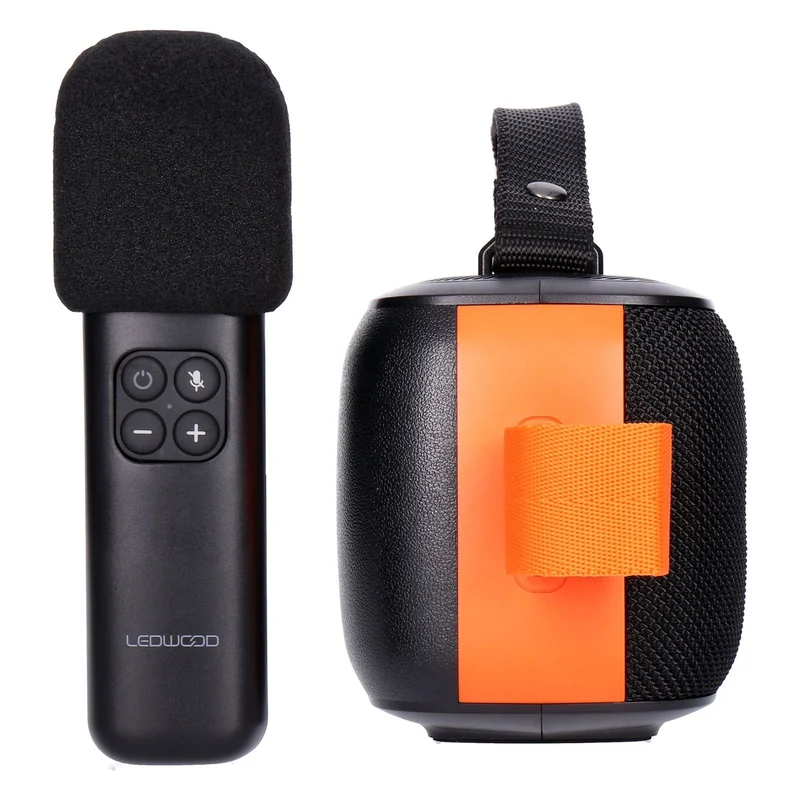 Ledwood ACCESS130 tragbarer Bluetooth Lautsprecher für Karaoke mit drahtlosem Mikrofon