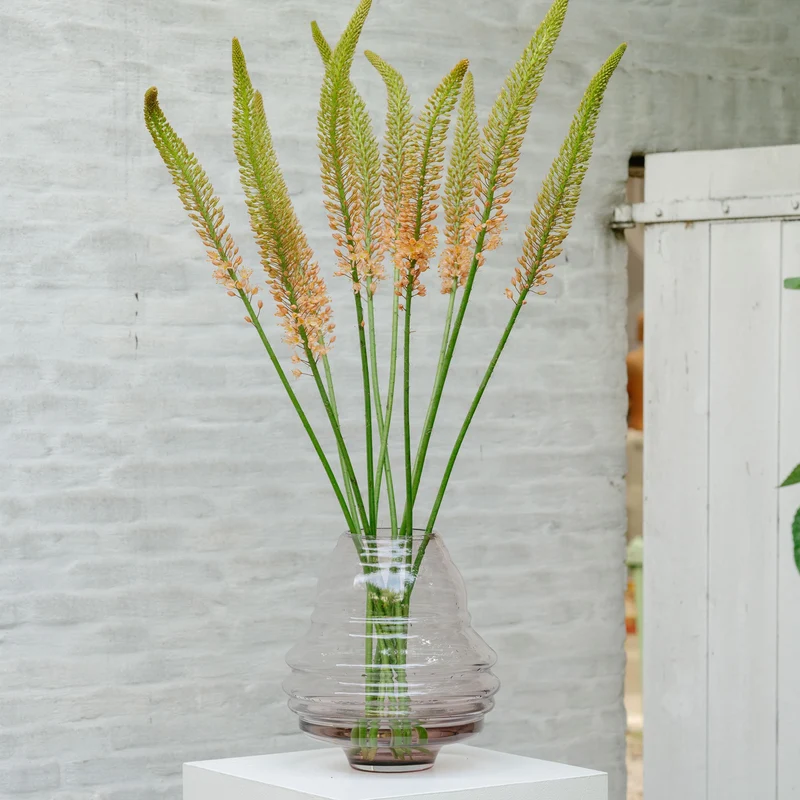 Serax Cameo In & Out Vase 02 by Maurice Harris