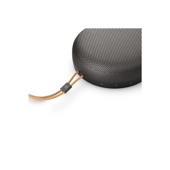Bang & Olufsen Beosound A1 3rd Gen