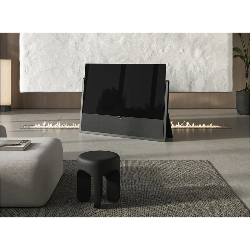 LOEWE iconic v.65 - 65* - 164cm aus der Aussstellung