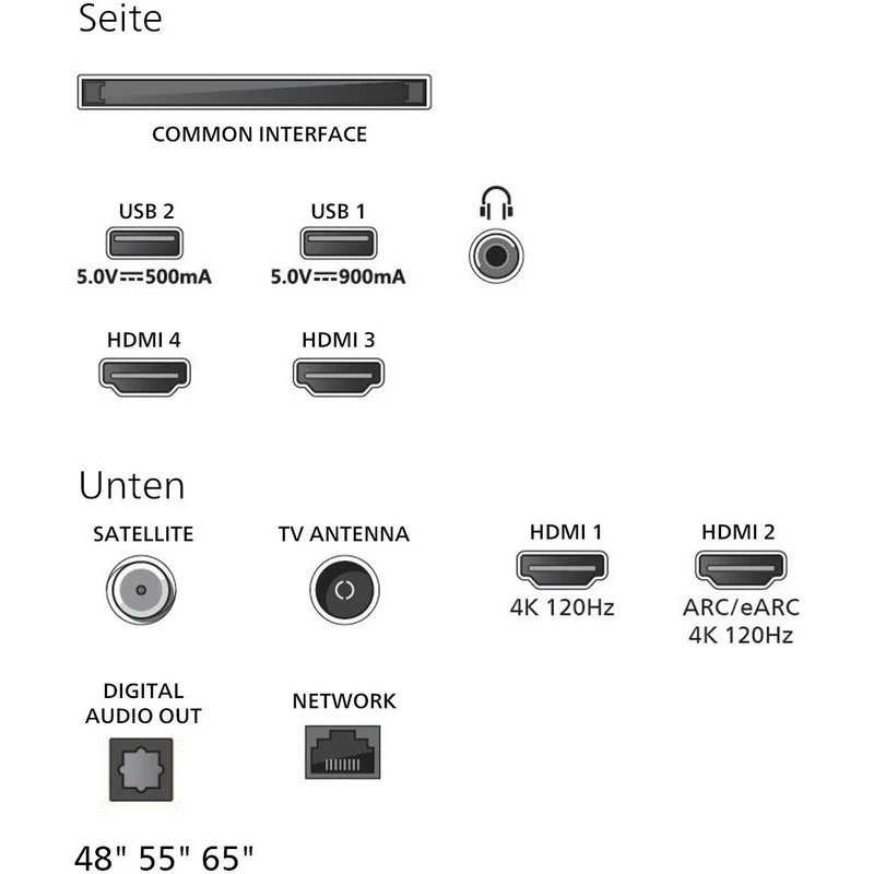 55OLED810/12