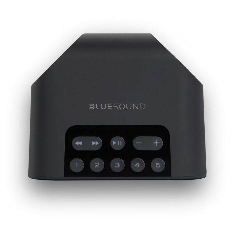 Bluesound Pulse Flex 2i