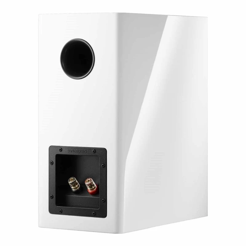 Dynaudio Evoke 20 /Stück