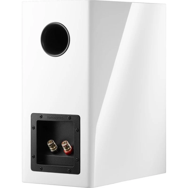 Dynaudio Evoke 20 /Stück