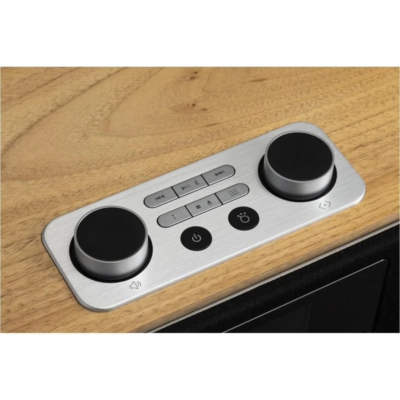 Roberts Blutune 300