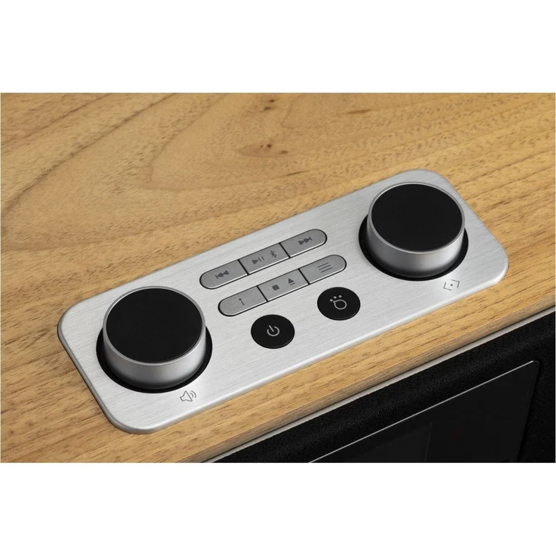 Roberts Blutune 300