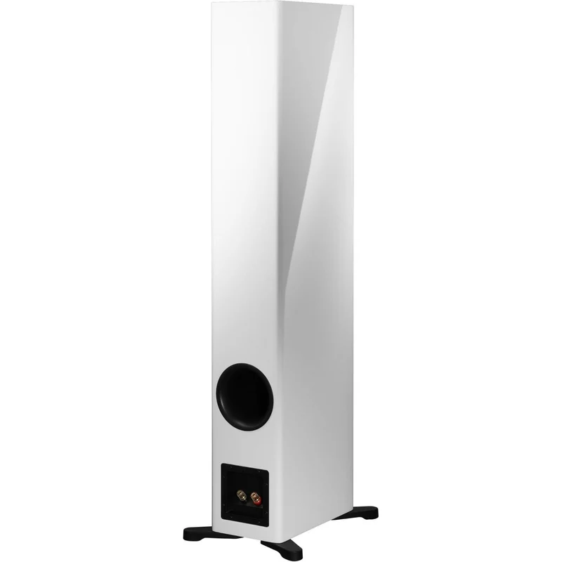 Dynaudio Evoke 50 /Stück