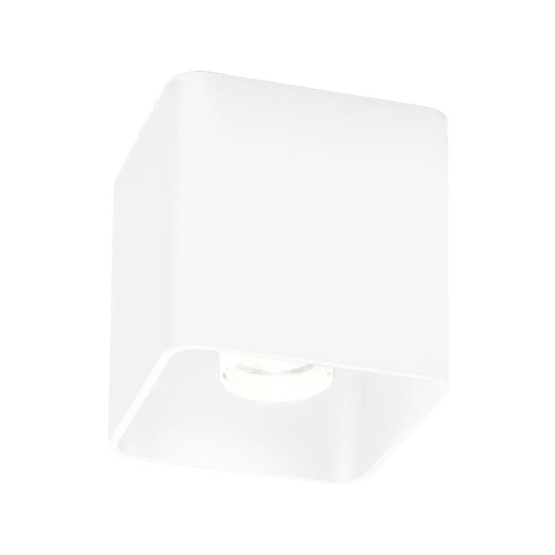 Wever & Ducré Docus LED DALI 1.0 Ceiling Lamp