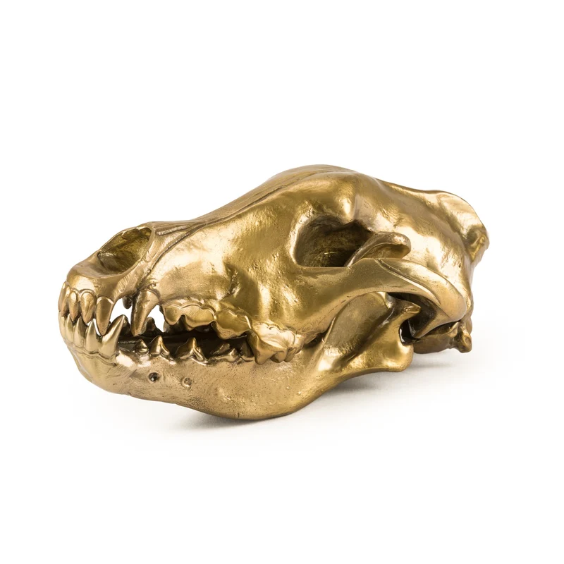 Seletti Diesel Wunderkammer Wolf Skull