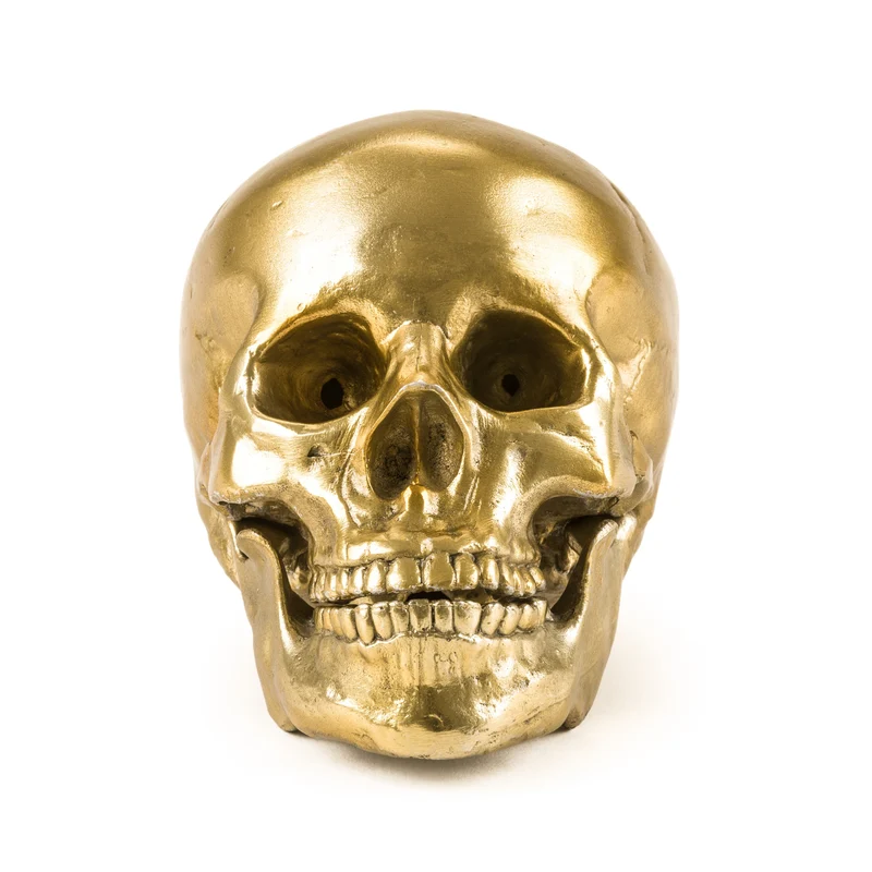 Seletti Diesel Wunderkammer Human Skull