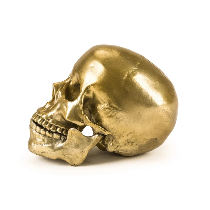 Seletti Diesel Wunderkammer Human Skull