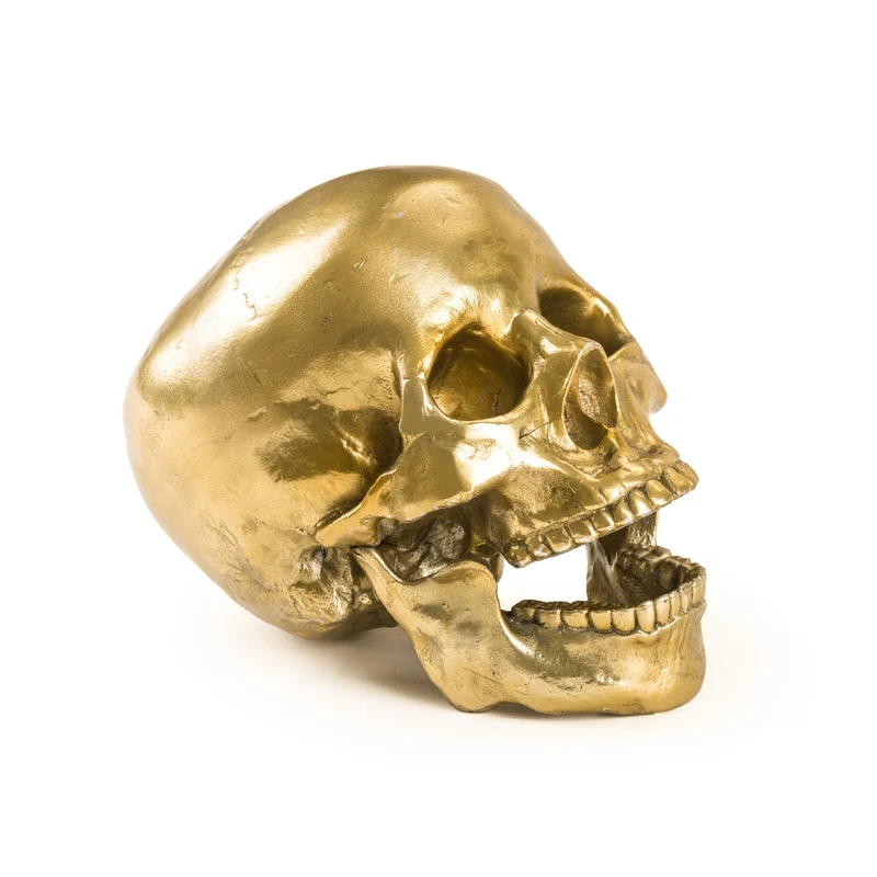 Seletti Diesel Wunderkammer Human Skull