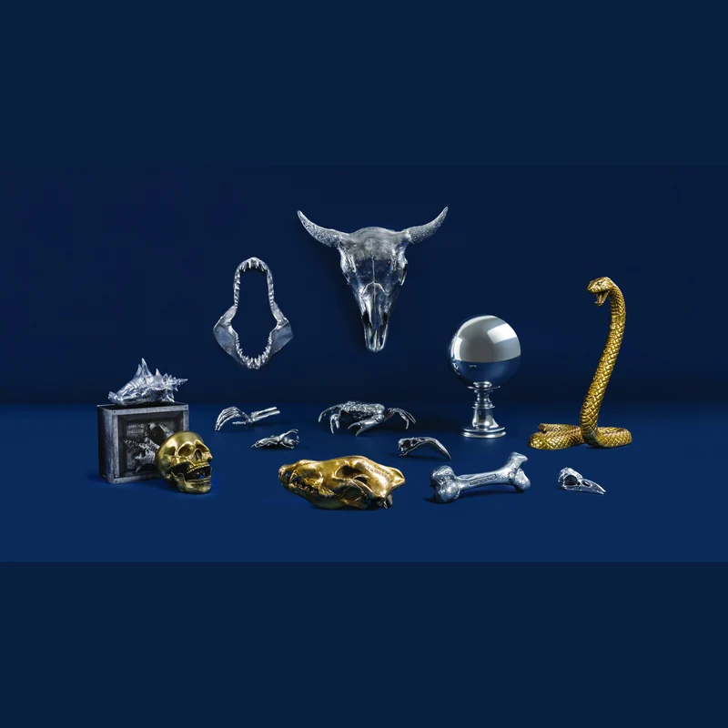 Seletti Diesel Wunderkammer Flamingo Skull
