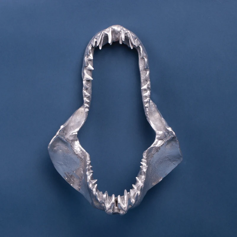 Seletti Diesel Wunderkammer Flamingo Skull