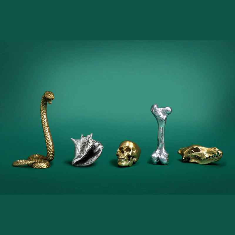 Seletti Diesel Wunderkammer Bone