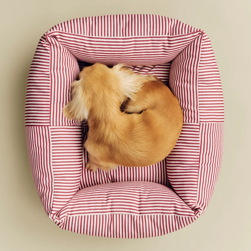Hay Dogs Bed Zip