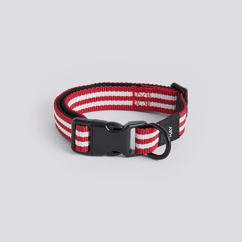 Hay Dogs Collar Flat