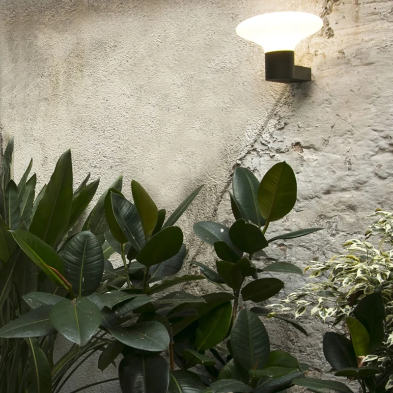 Faro Blubs Wall Lamp