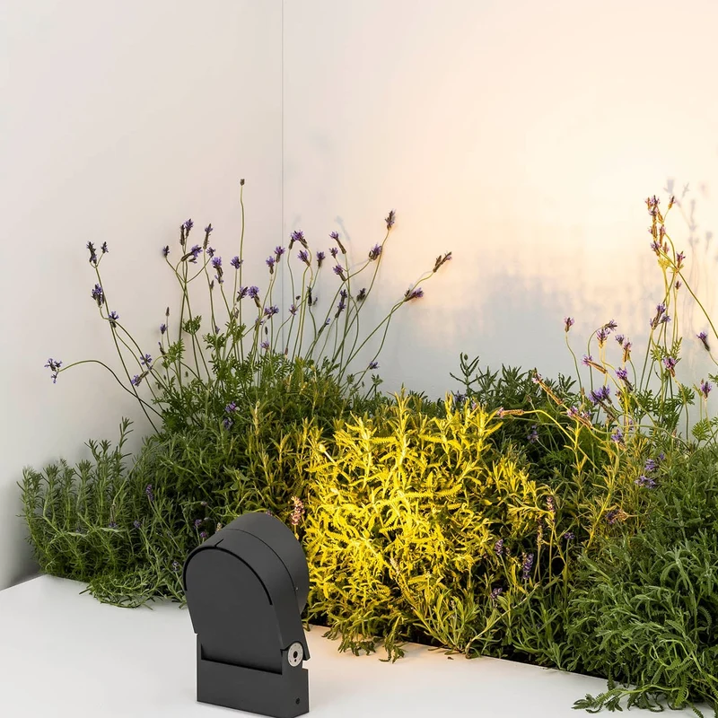 Faro Muur 250 Projector Lamp