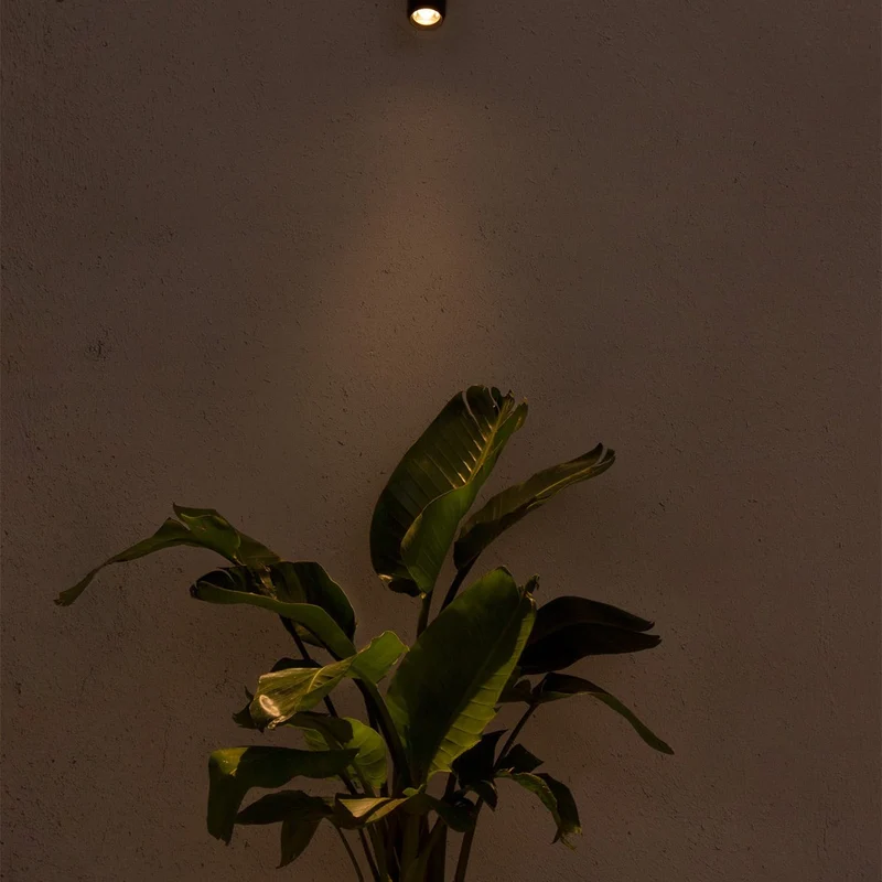 Faro Plom Projector Lamp