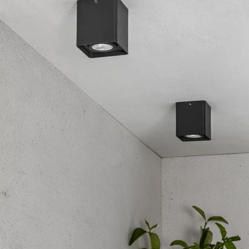 Faro Tami Ceiling Lamp