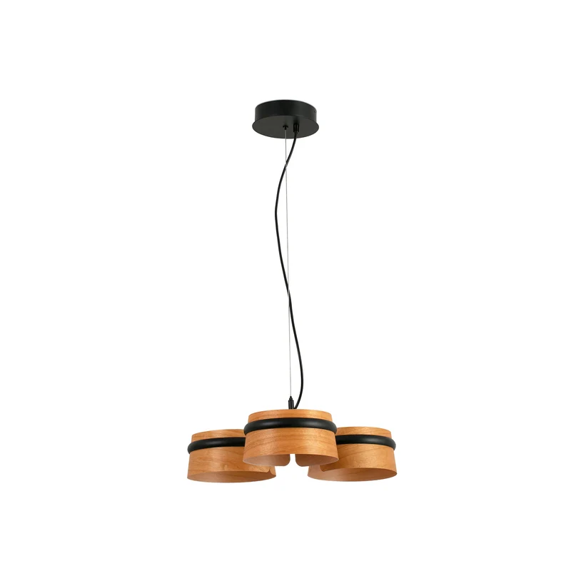 Faro Loop Pendant Lamp