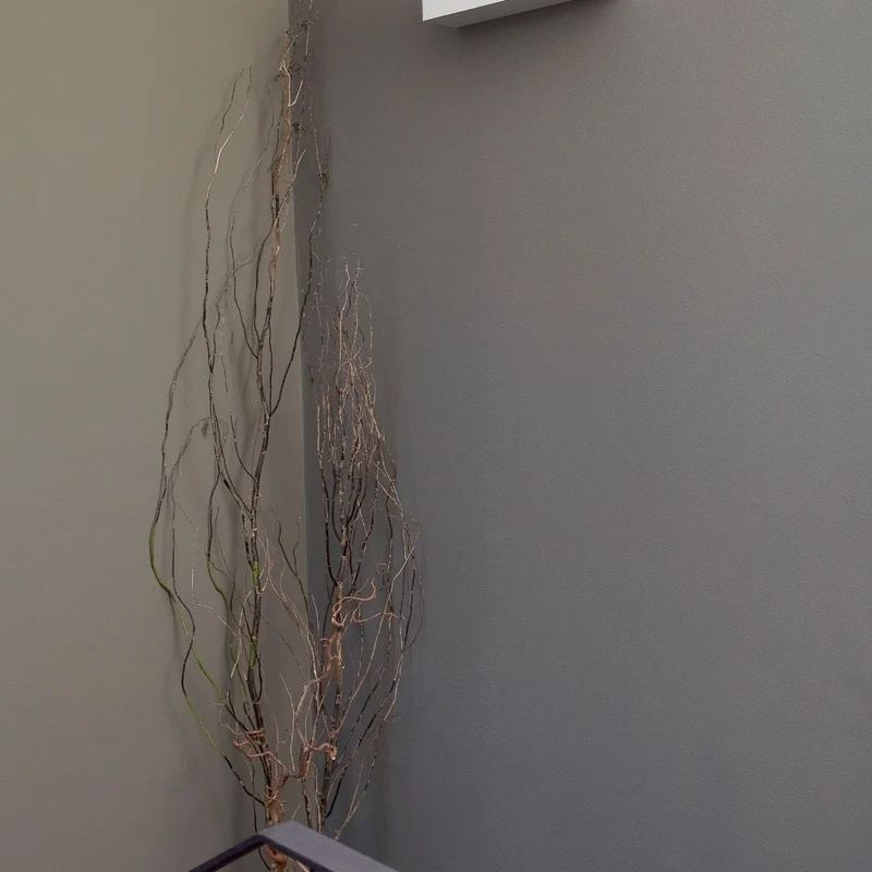 Faro Eaco 2 White Wall Lamp