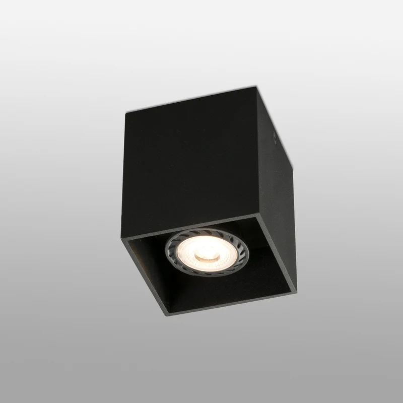 Faro Tecto 1L Ceiling Lamp