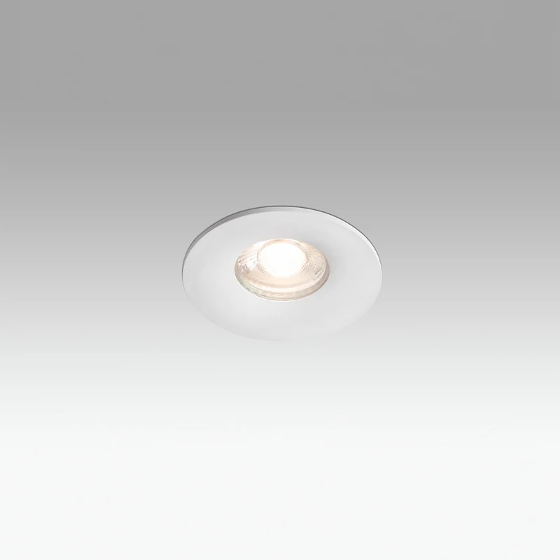 Faro Wet Downlight