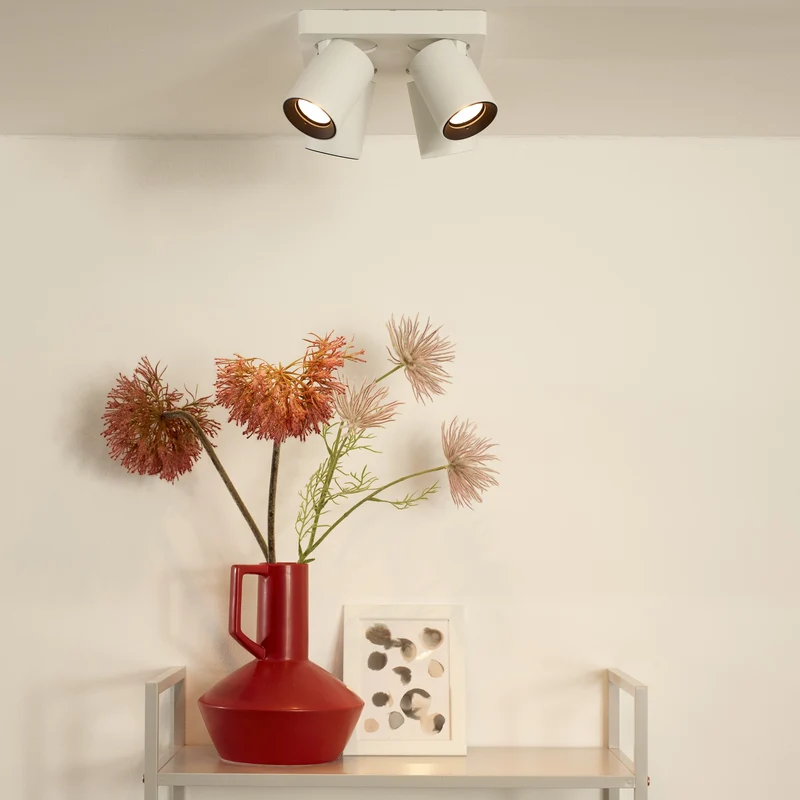 Lucide Nigel Ceiling Spotlight