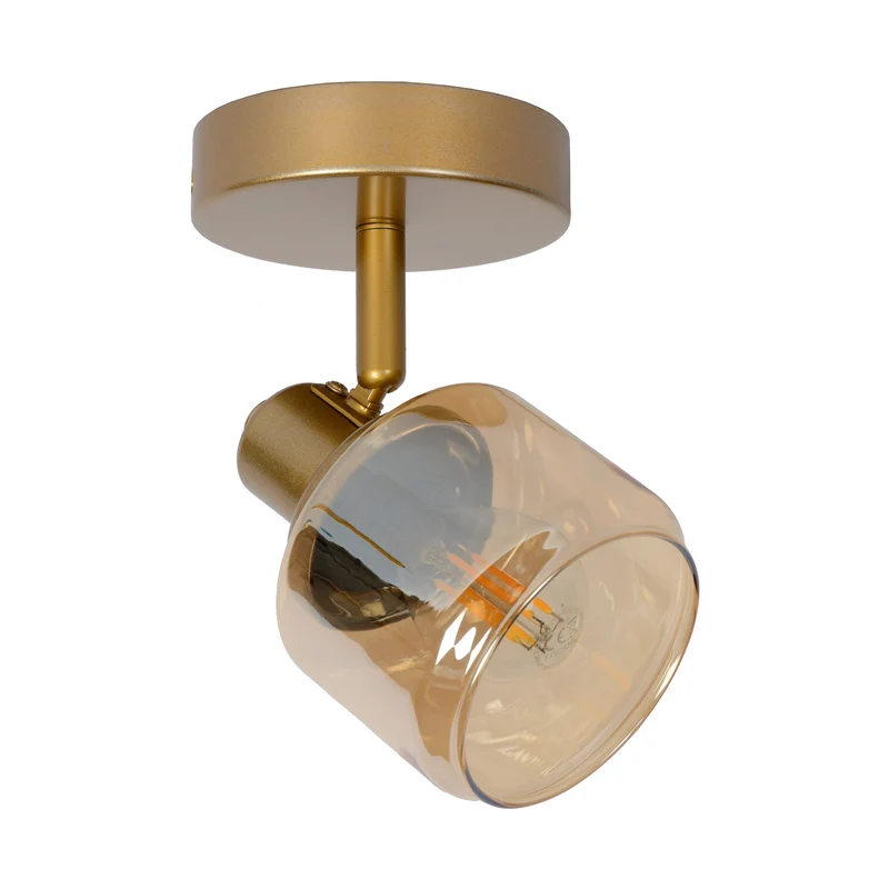 Lucide Bjorn Ceiling Spotlight