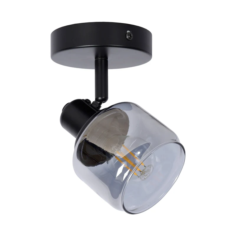 Lucide Bjorn Ceiling Spotlight