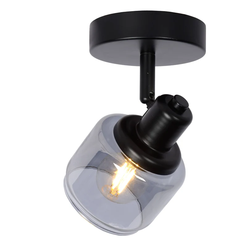 Lucide Bjorn Ceiling Spotlight